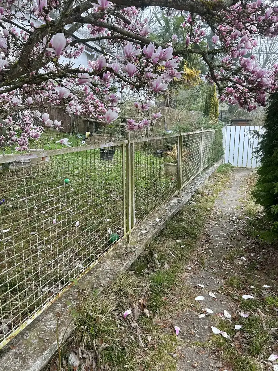 Clôture, avant les travaux