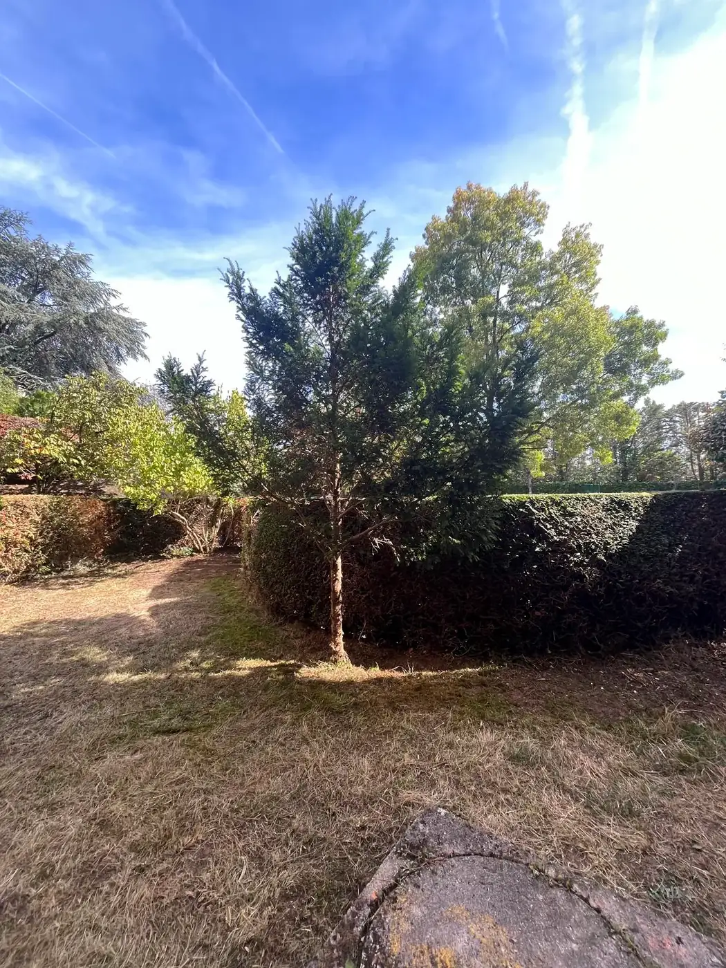 Jardin au Chesnay (78), après les travaux