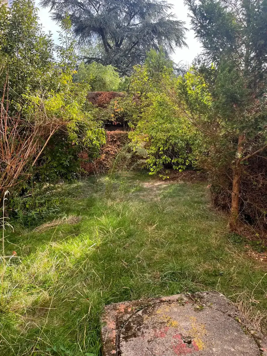 Jardin au Chesnay (78), avant les travaux
